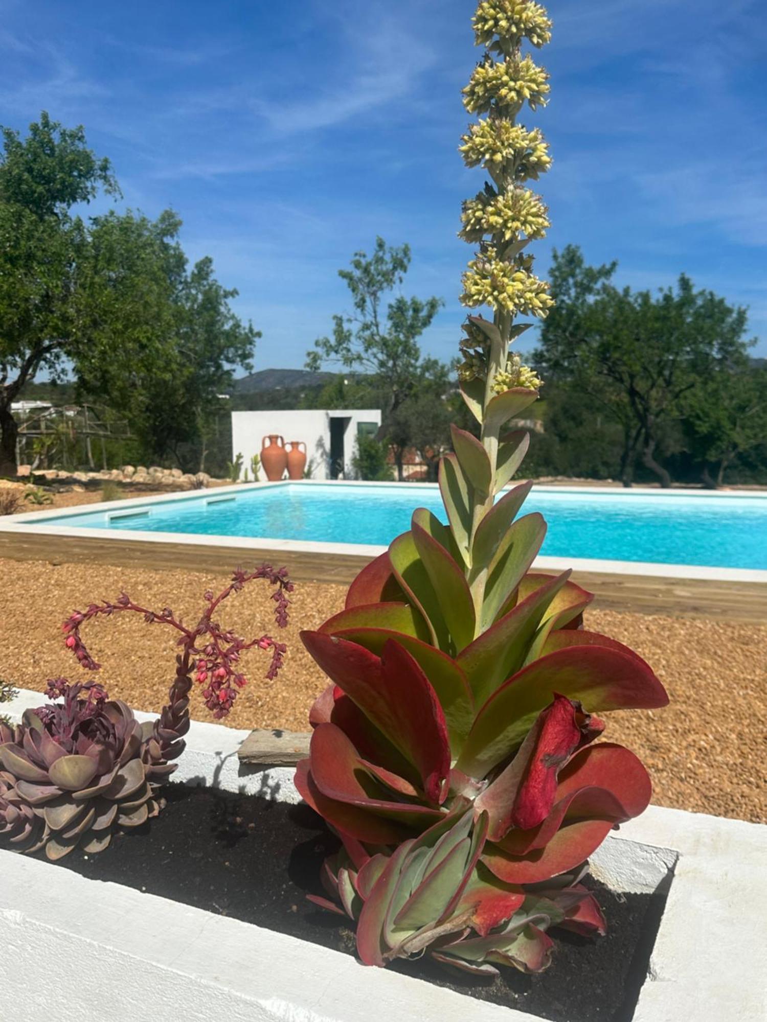 PechãoLa Quinta Da Liberdade - Ferme De Charme En Algarve别墅 外观 照片