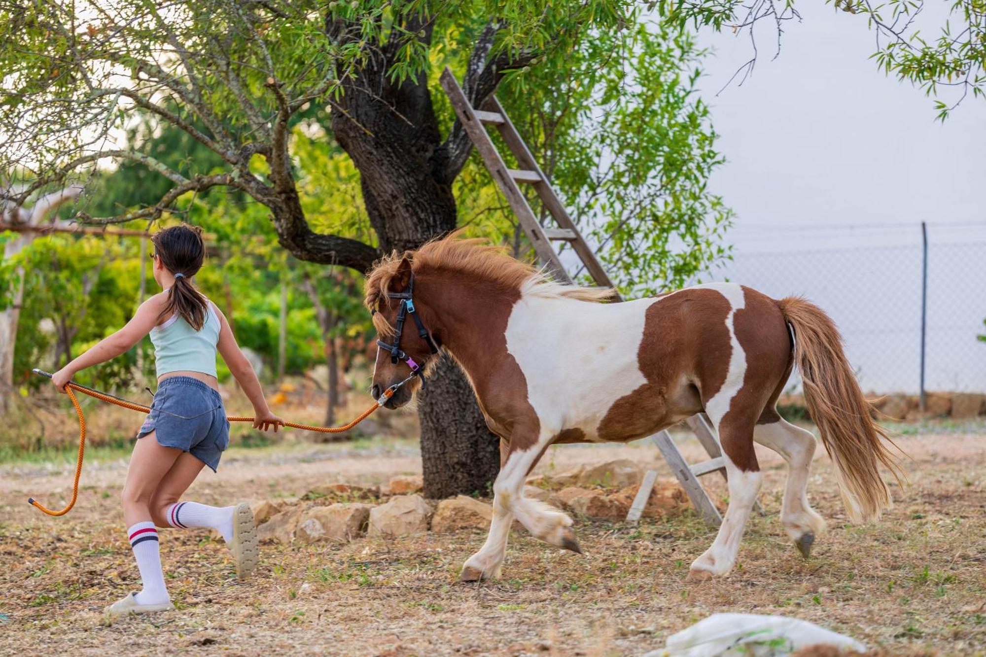 PechãoLa Quinta Da Liberdade - Ferme De Charme En Algarve别墅 外观 照片